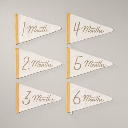 Newborn Milestone Pennants 6pc - Hearth & Hand™