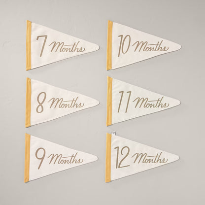 Newborn Milestone Pennants 6pc - Hearth & Hand™