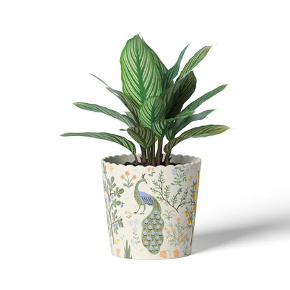 Rifle Paper Co. x Target Indoor Planter