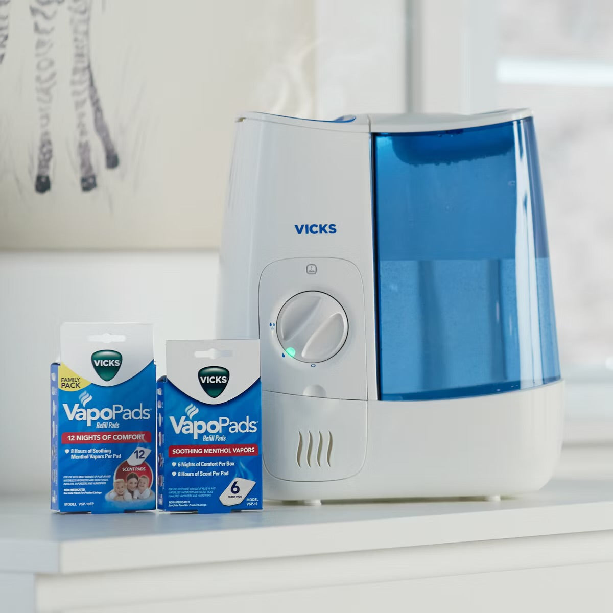 Vicks Warm Moisture Humidifier