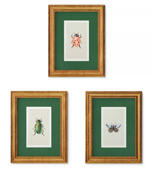 Rifle Paper Co. x Target 11"x14" Gold Foil Insect Poster Framed Wall Art Prints Set of 3